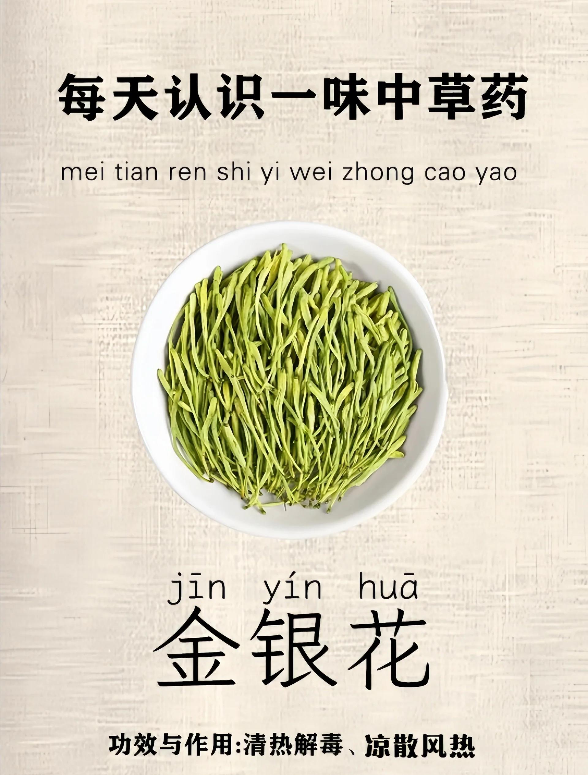 金银花的功效与作用禁忌与副作用有哪些,金银花作用功效效与作用