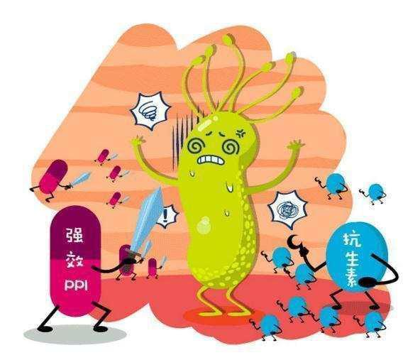 幽门螺旋杆菌吃什么药好,幽门螺旋杆菌能根治吗