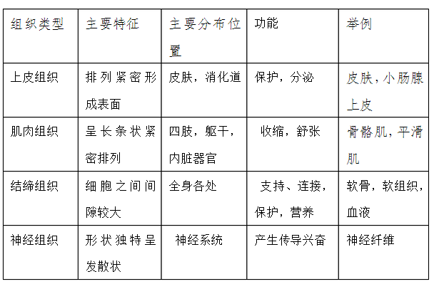 人体组织,航班人体组织