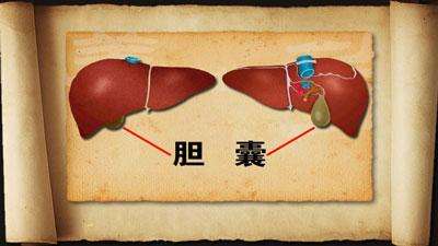 胆囊息肉怎么治疗最好的方法的简单介绍
