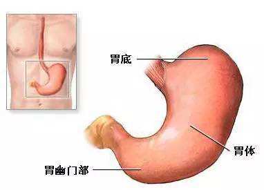 治疗胃炎的常用药,治疗胃炎