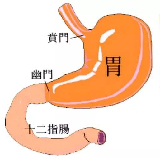 幽门螺杆菌1500算高吗幽门螺旋标准多少是正常
