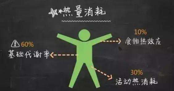 一天一餐减肥法,一天减肥法
