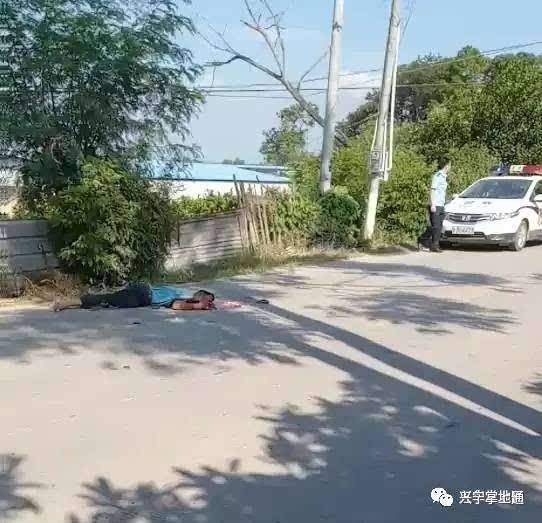 脑浆,枪毙后的脑浆图片