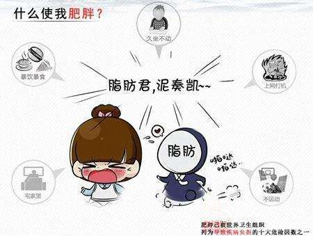虚胖减肥,为什么胖了很难瘦下去