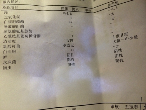 白带清洁度3白带清洁度3能同房吗