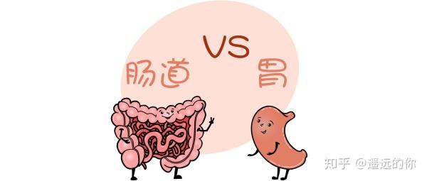 胃胀气不消化怎么办快速解决的简单介绍