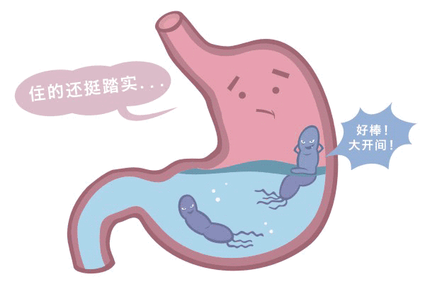 吃什么食物能治幽门螺杆菌,幽门螺杆菌阳性怎么治疗