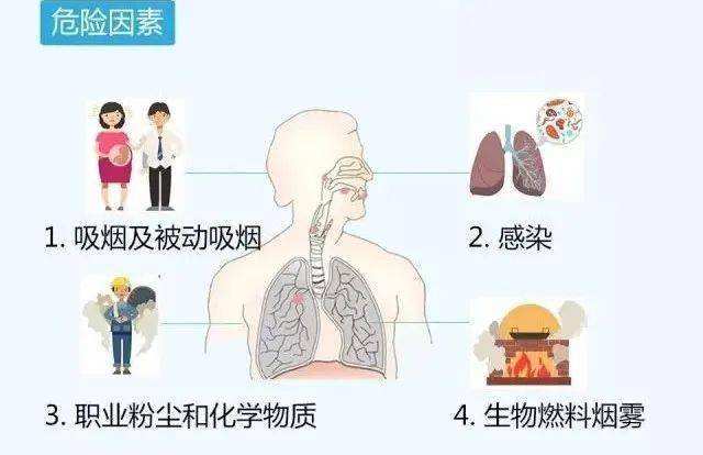 慢性呼吸系统疾病,呼吸系统疾病