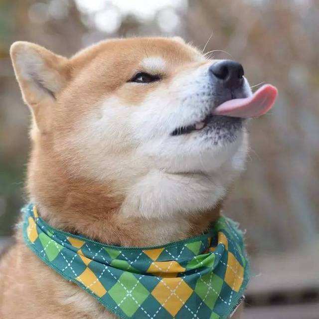 使劲,宝宝腿趴开点就不会疼了