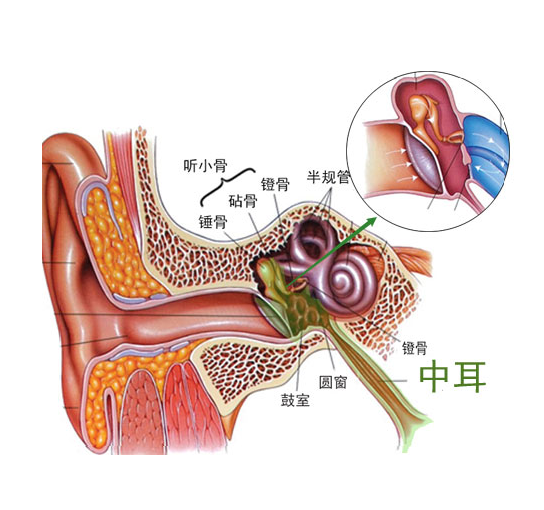 咽鼓管堵塞的按摩方法,咽鼓管