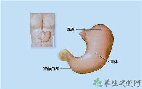 胃在哪个位置,左下腹部隐痛的原因