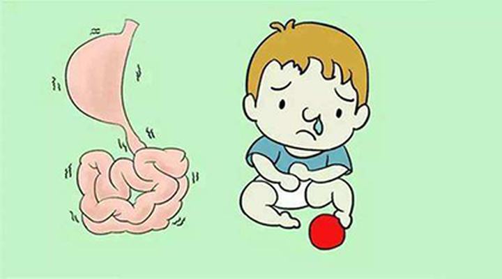 成人上吐下泻吃什么药上吐下泻发烧