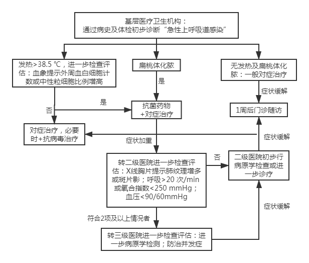 急性上呼吸道感染 急性上呼吸道感染