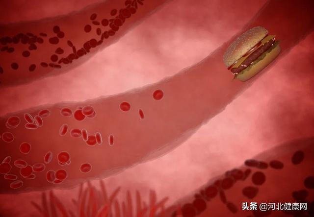 世界保健日 世界保健日