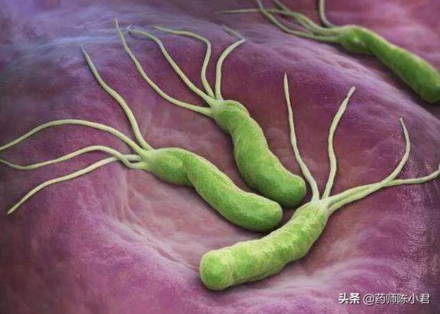 幽门螺旋杆菌阳性可以根治吗 幽门螺旋杆菌阳性可以根治吗