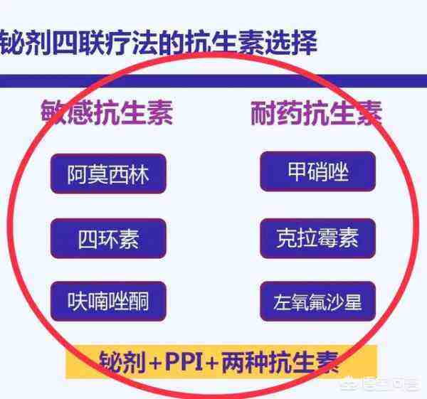 幽门螺杆菌三联疗法幽门螺杆菌胃四联是哪四种药