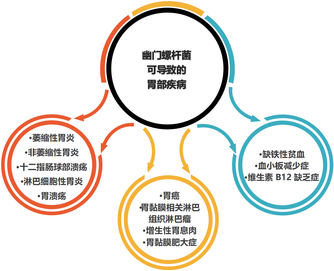 幽门螺杆菌阳性好治疗吗的简单介绍