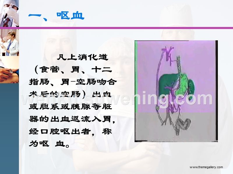 肠伤寒肠伤寒病理特点