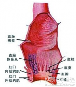 直肠炎早期的5大症状,直肠炎的症状及治疗