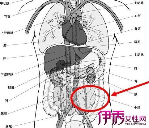 肝癌的早期症状和前兆,右上腹部隐痛