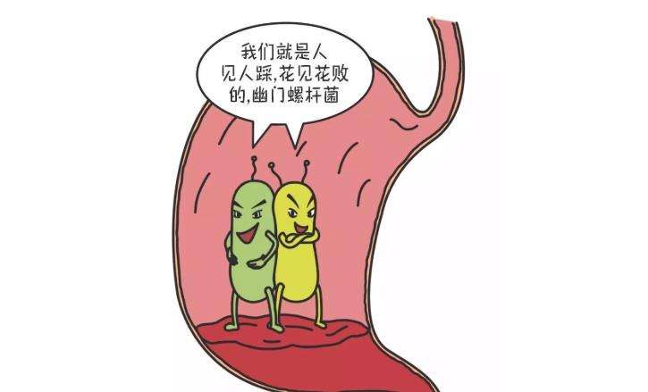 怎么检查幽门螺杆菌感染的简单介绍