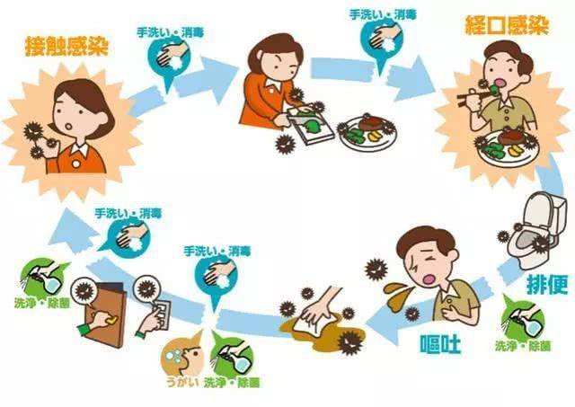 粪口传播什么意思谁也不会吃粪粪口传播什么意思