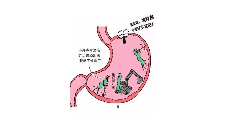 小孩怎么查幽门螺杆菌,幽门螺杆菌是否传染