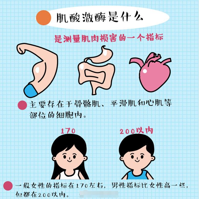 西红柿首富减肥险结果,减肥险