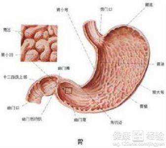 胃溃疡治疗年轻人最好不要做胃镜检查