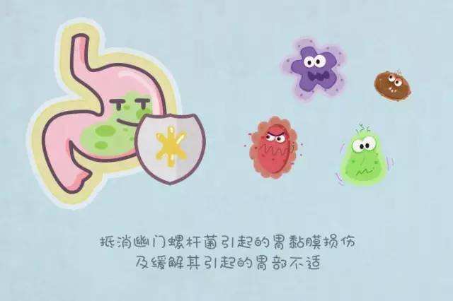 怎么筛查幽门螺杆菌,正常人有幽门螺杆菌吗