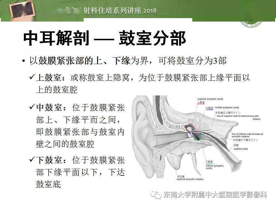中耳,排出中耳积液的手法