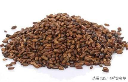 什么中药可以减肥 什么中药可以减肥