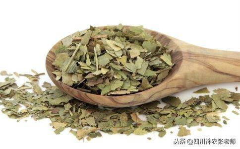 什么中药可以减肥 什么中药可以减肥