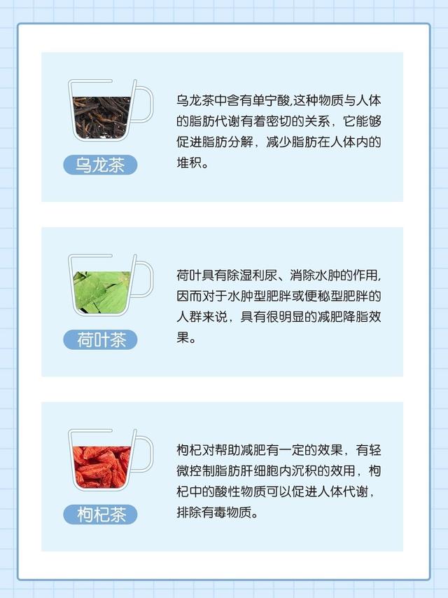 减肥喝什么好