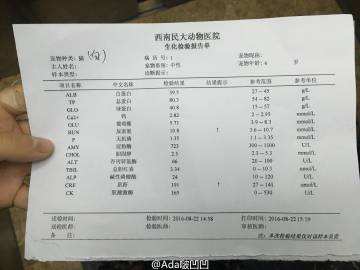 尿素偏高1点3严重吗,尿素偏高是什么原因