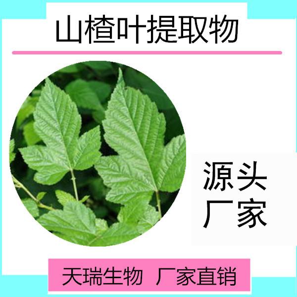 山楂加一物两天瘦8斤山楂叶减肥