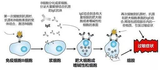 炎症反应性细胞改变是什么意思,炎症