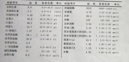 甘油三酯偏低甘油三脂偏高怎么办