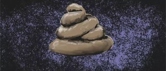 粪便 粪便