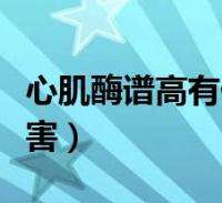 心肌酶多少钱做一次,心肌酶