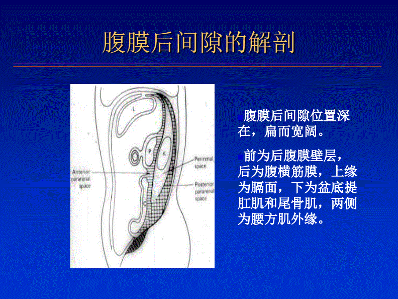 腹膜,腹膜破了还能长好吗