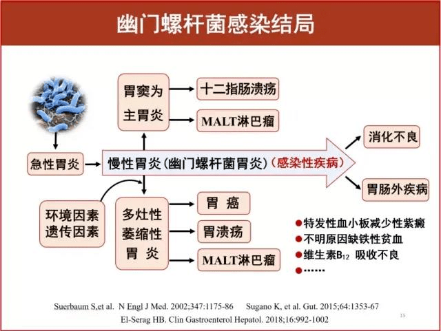 幽门螺旋杆菌严重后果幽门螺旋杆菌是什么