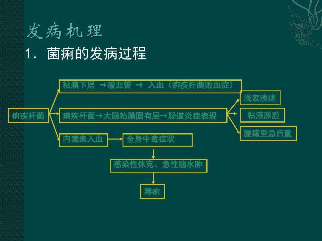 痢疾痢疾的大便图解