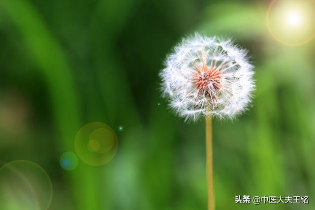 幽门螺杆菌最怕的食物 幽门螺杆菌最怕的食物