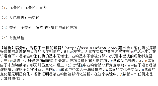 唾液淀粉酶,唾液淀粉酶属于内环境吗
