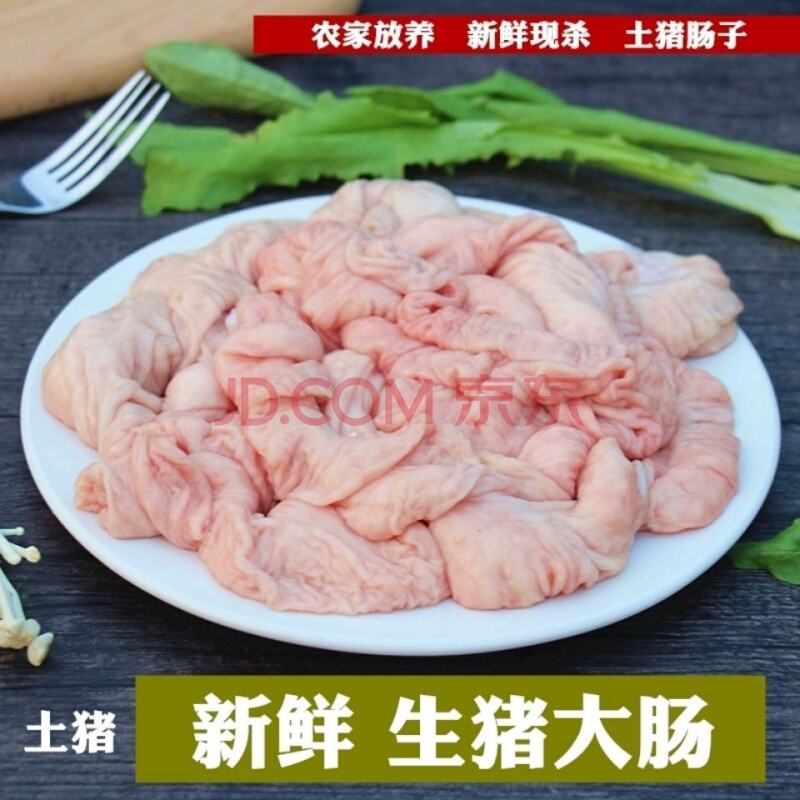 肠子肠子在线看