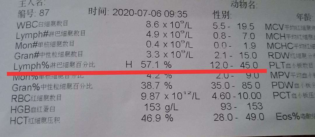 淋巴细胞偏高要不要紧,淋巴细胞百分比