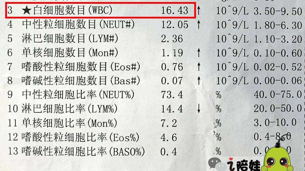 淋巴细胞比率偏高淋巴细胞比率