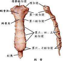 剑突左下方隐隐疼痛,剑突